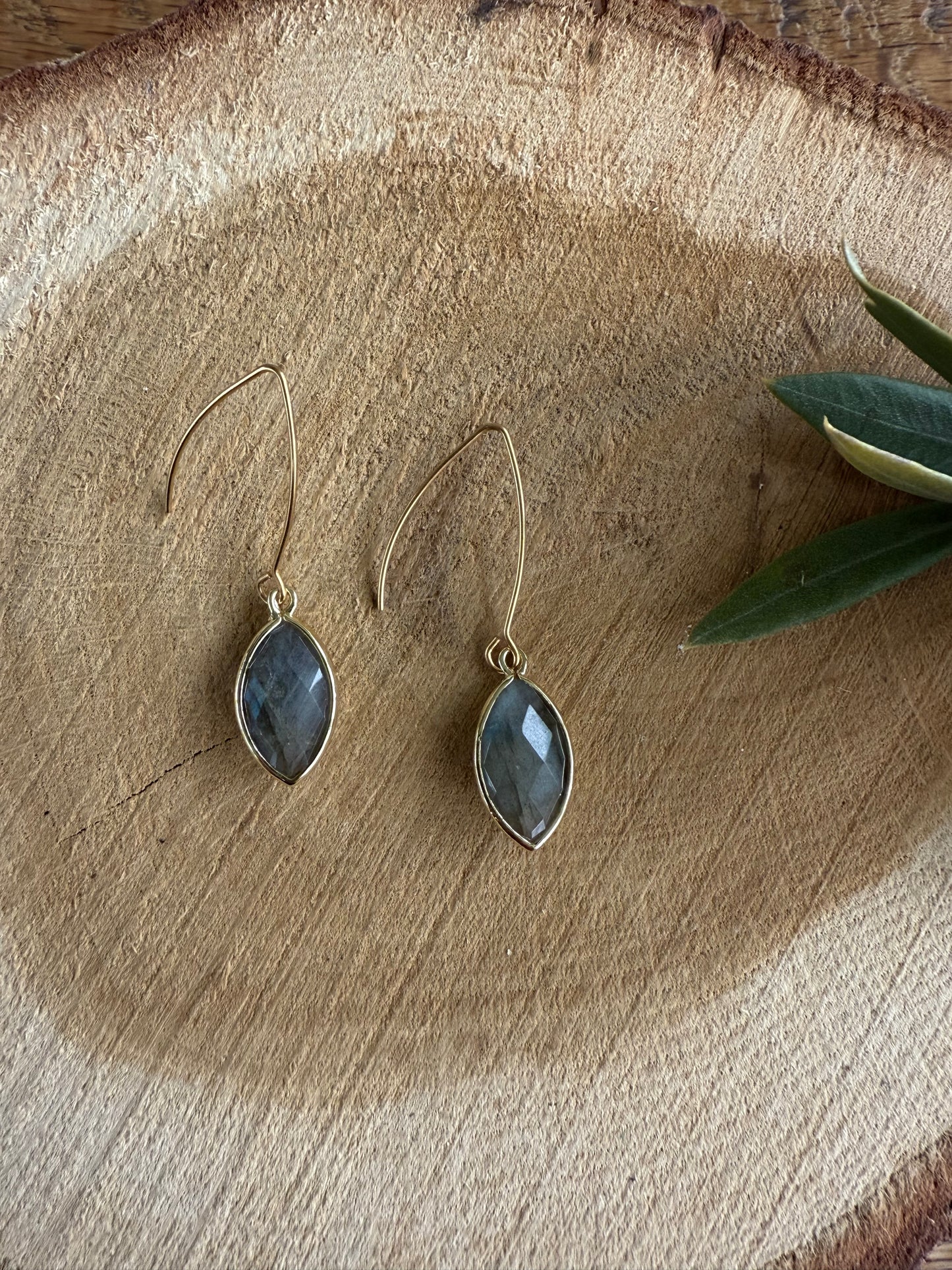 Gave natuursteen oorbel aan een lange haak