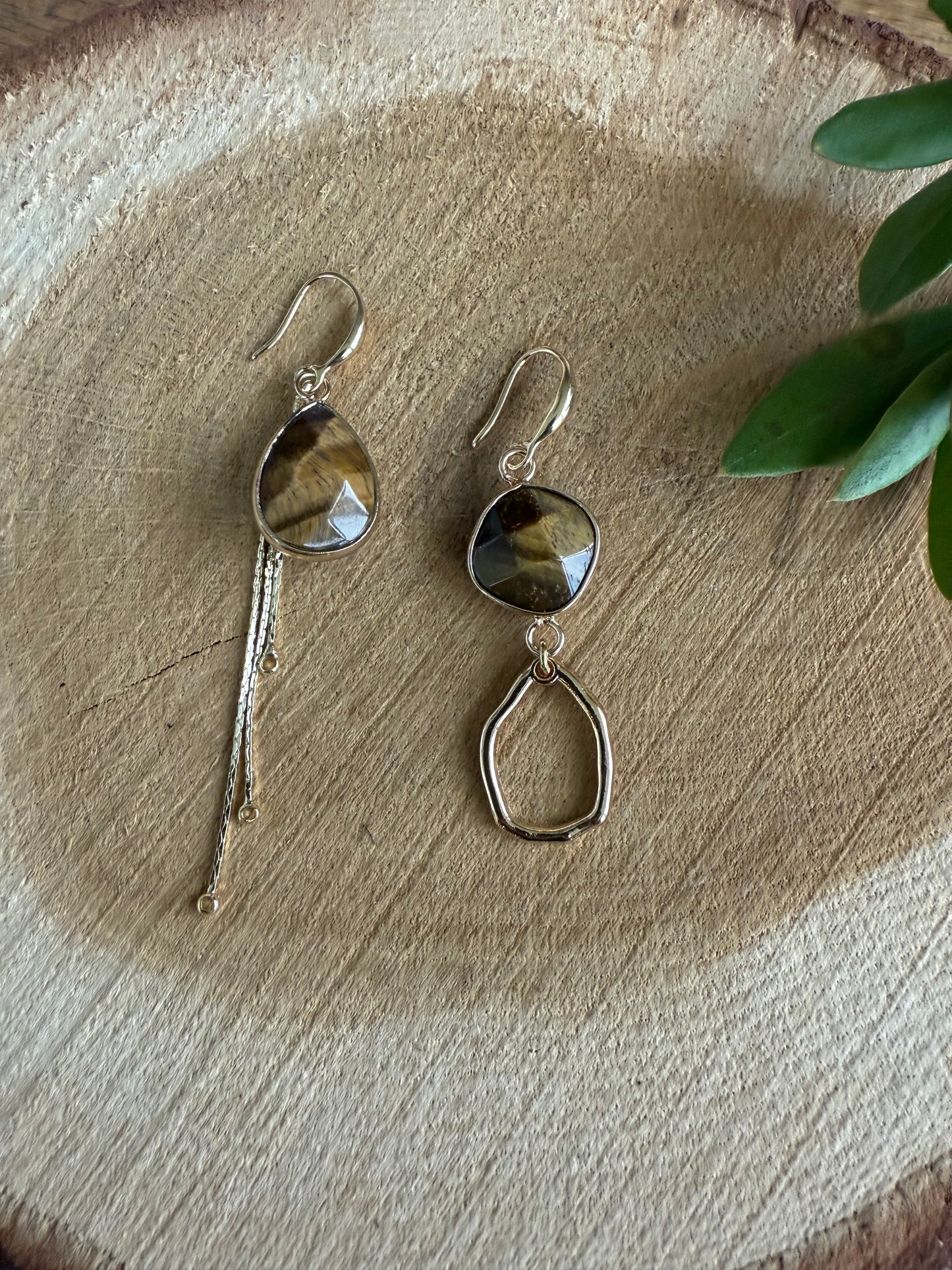 Asymmetrische tijgeroog