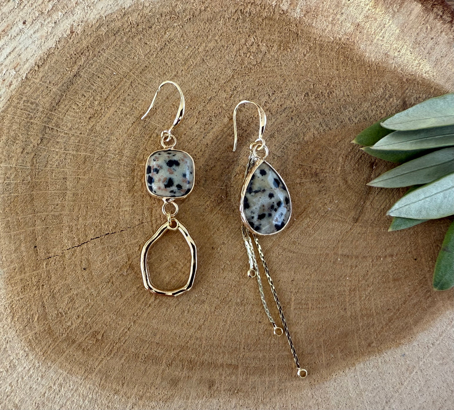 Asymmetrisch dalmatiër