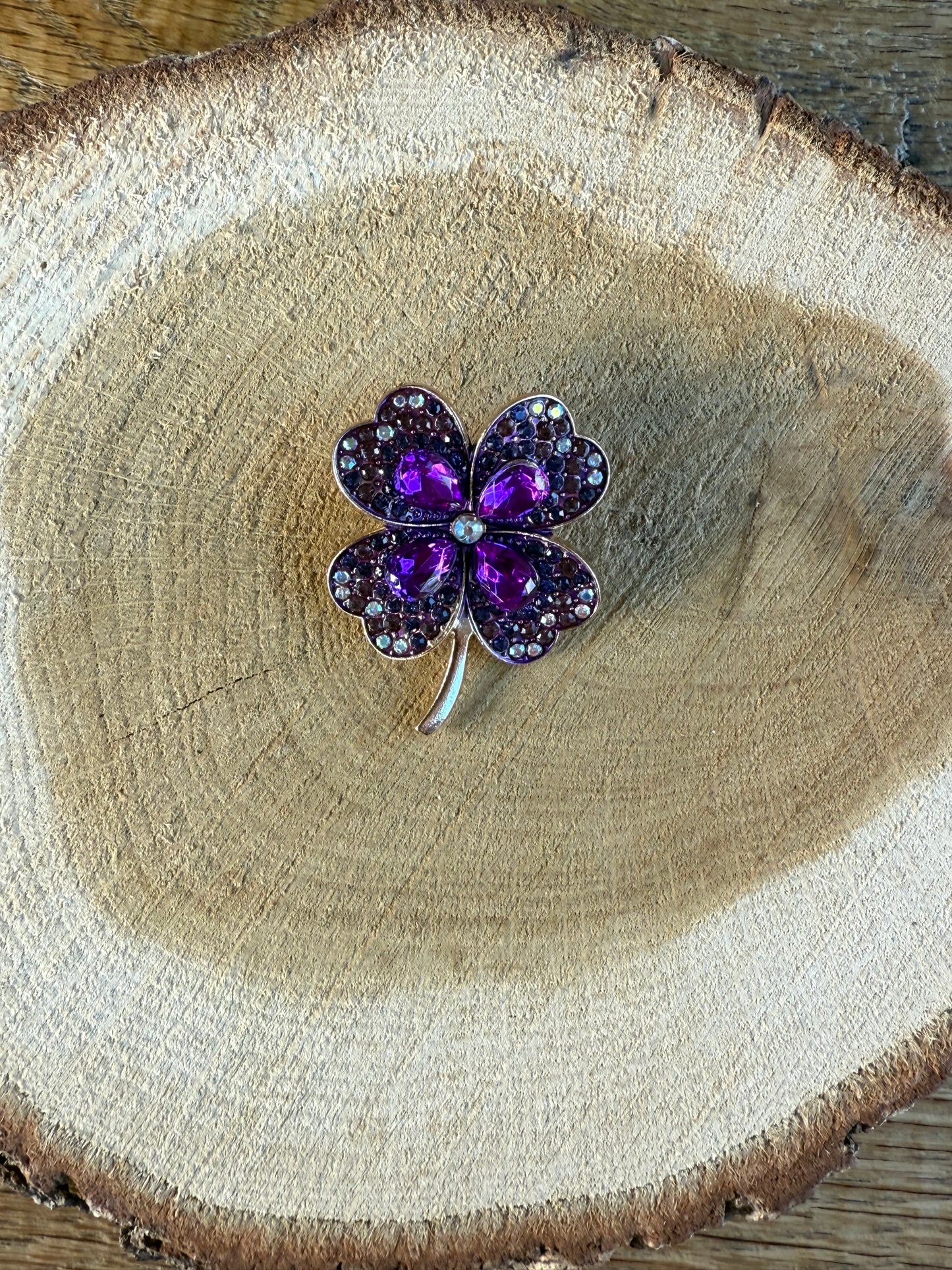 Broche paarse klaver