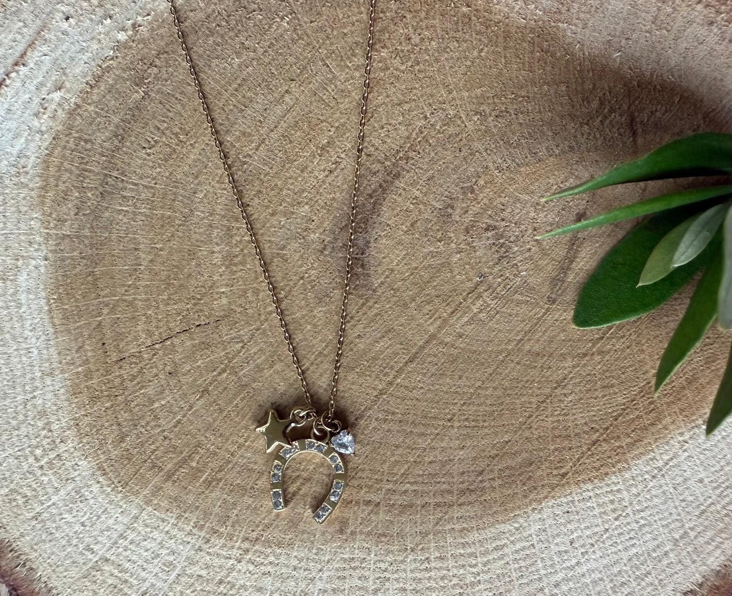 Ketting met hoefijzer